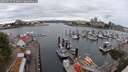 ./images/victoria/wharf/20250625/wharf20250625_093008M.jpg