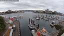 ./images/victoria/wharf/20250625/wharf20250625_093510M.jpg