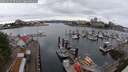 ./images/victoria/wharf/20250625/wharf20250625_094009M.jpg