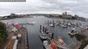 ./images/victoria/wharf/20250625/wharf20250625_094508M.jpg