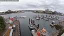 ./images/victoria/wharf/20250625/wharf20250625_095011M.jpg