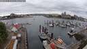 ./images/victoria/wharf/20250625/wharf20250625_101011M.jpg