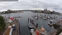 ./images/victoria/wharf/20250625/wharf20250625_101510M.jpg