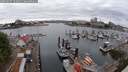 ./images/victoria/wharf/20250625/wharf20250625_102011M.jpg