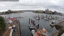 ./images/victoria/wharf/20250625/wharf20250625_102510M.jpg