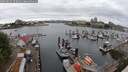 ./images/victoria/wharf/20250625/wharf20250625_103011M.jpg