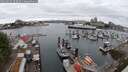 ./images/victoria/wharf/20250625/wharf20250625_103510M.jpg