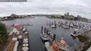 ./images/victoria/wharf/20250625/wharf20250625_104009M.jpg