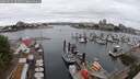 ./images/victoria/wharf/20250625/wharf20250625_104511M.jpg