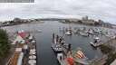 ./images/victoria/wharf/20250625/wharf20250625_110011M.jpg