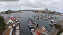 ./images/victoria/wharf/20250625/wharf20250625_110510M.jpg