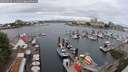 ./images/victoria/wharf/20250625/wharf20250625_111511M.jpg