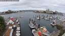 ./images/victoria/wharf/20250625/wharf20250625_112510M.jpg