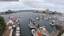 ./images/victoria/wharf/20250625/wharf20250625_113511M.jpg