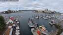 ./images/victoria/wharf/20250625/wharf20250625_120510M.jpg