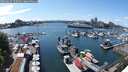 ./images/victoria/wharf/20250625/wharf20250625_150509M.jpg