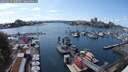 ./images/victoria/wharf/20250625/wharf20250625_160509M.jpg