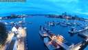 ./images/victoria/wharf/20250626/wharf20250626_044508M.jpg