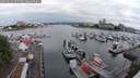 ./images/victoria/wharf/20250626/wharf20250626_055509M.jpg