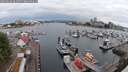 ./images/victoria/wharf/20250626/wharf20250626_061011M.jpg