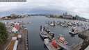 ./images/victoria/wharf/20250626/wharf20250626_062012M.jpg