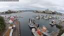 ./images/victoria/wharf/20250626/wharf20250626_071511M.jpg
