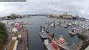 ./images/victoria/wharf/20250626/wharf20250626_072011M.jpg