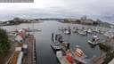 ./images/victoria/wharf/20250626/wharf20250626_075011M.jpg