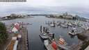./images/victoria/wharf/20250626/wharf20250626_080009M.jpg
