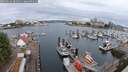 ./images/victoria/wharf/20250626/wharf20250626_081011M.jpg