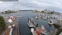 ./images/victoria/wharf/20250626/wharf20250626_081512M.jpg