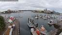 ./images/victoria/wharf/20250626/wharf20250626_082510M.jpg