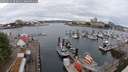 ./images/victoria/wharf/20250626/wharf20250626_083010M.jpg