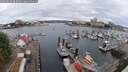 ./images/victoria/wharf/20250626/wharf20250626_083509M.jpg