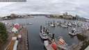 ./images/victoria/wharf/20250626/wharf20250626_084011M.jpg