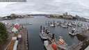./images/victoria/wharf/20250626/wharf20250626_084511M.jpg