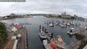 ./images/victoria/wharf/20250626/wharf20250626_085011M.jpg
