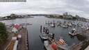 ./images/victoria/wharf/20250626/wharf20250626_085507M.jpg