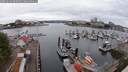 ./images/victoria/wharf/20250626/wharf20250626_090011M.jpg