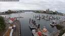 ./images/victoria/wharf/20250626/wharf20250626_091510M.jpg