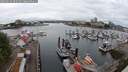 ./images/victoria/wharf/20250626/wharf20250626_092510M.jpg