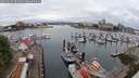 ./images/victoria/wharf/20250626/wharf20250626_094011M.jpg