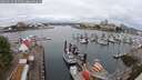 ./images/victoria/wharf/20250626/wharf20250626_095009M.jpg