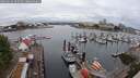 ./images/victoria/wharf/20250626/wharf20250626_095510M.jpg