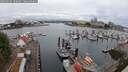 ./images/victoria/wharf/20250626/wharf20250626_100012M.jpg