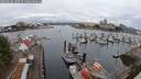 ./images/victoria/wharf/20250626/wharf20250626_100509M.jpg