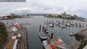 ./images/victoria/wharf/20250626/wharf20250626_101011M.jpg