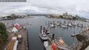 ./images/victoria/wharf/20250626/wharf20250626_101510M.jpg