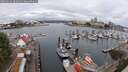 ./images/victoria/wharf/20250626/wharf20250626_102011M.jpg