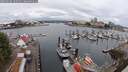 ./images/victoria/wharf/20250626/wharf20250626_102510M.jpg